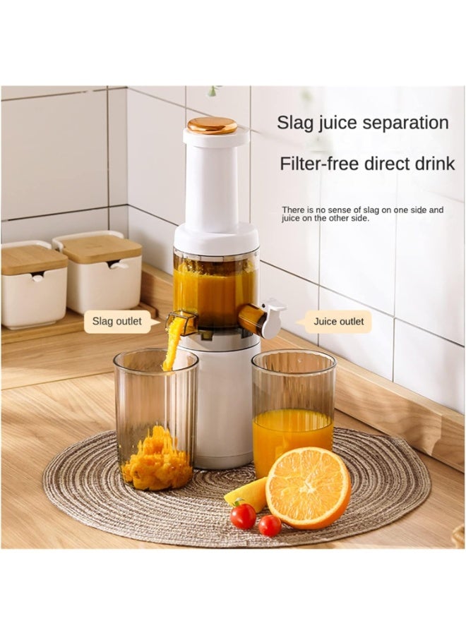 BlueFire Mini Slow Juicer Screw Cold Press Extractor – Portable Filter-Free Electric Fruit & Vegetable Juicer Machine with Wide Feed Chute, High Juice Yield & Easy Cleaning Design - Image 2